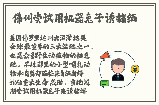 **大尺度视频